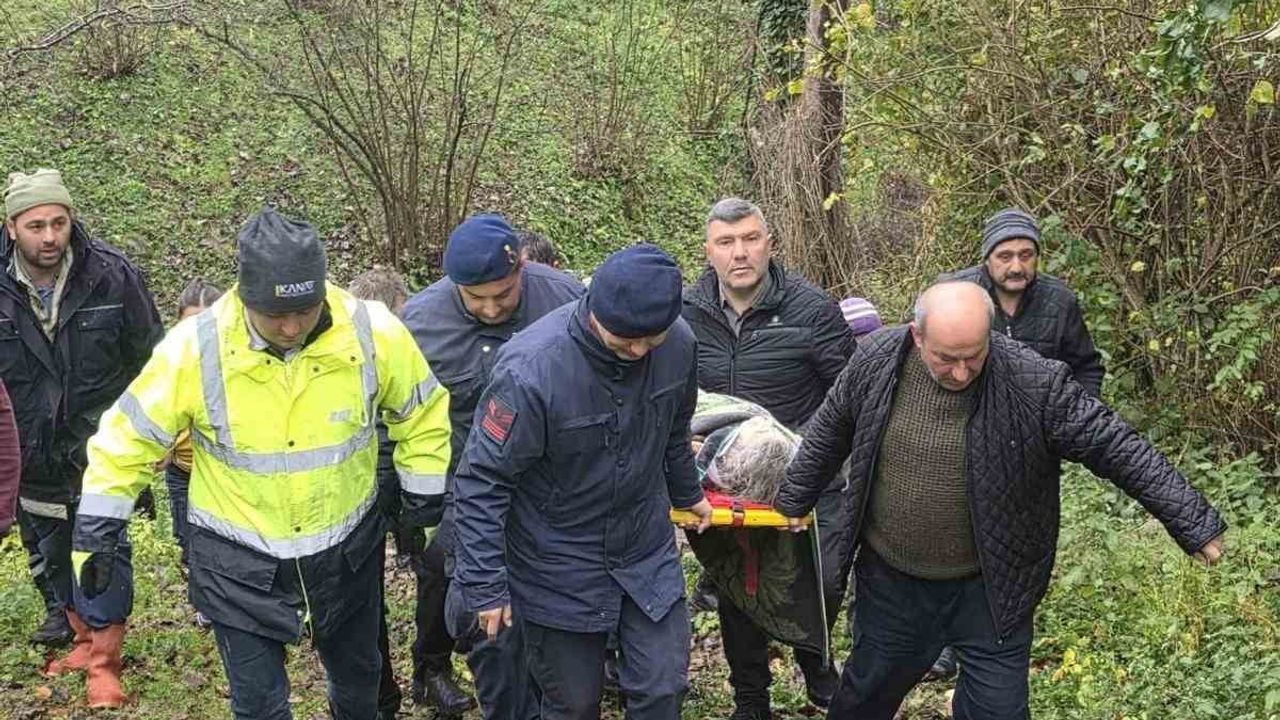 Samsun'da Alzheimer Hastası Kayıp Kadın Ormanlık Alanda Yaralı Bulundu