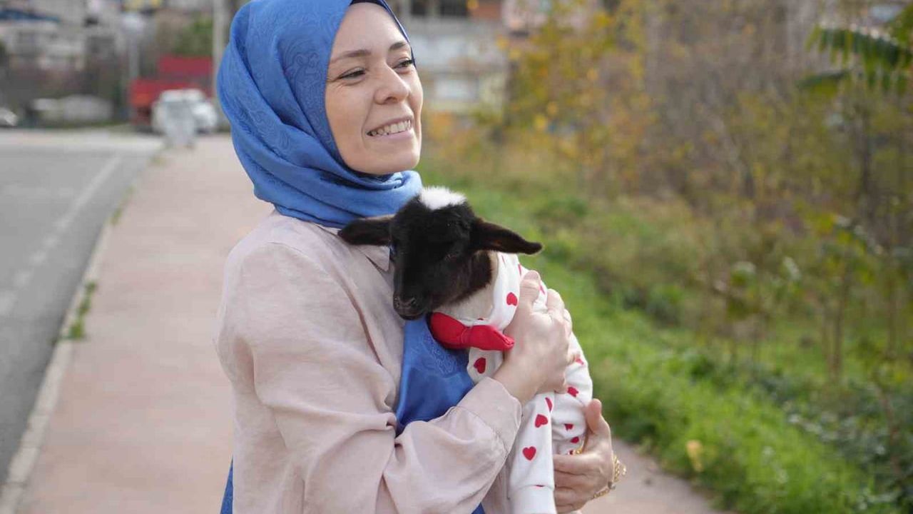 Samsun’da Anne, Annesi Ölen Kuzuya Evinde Bebek Gibi Bakıyor