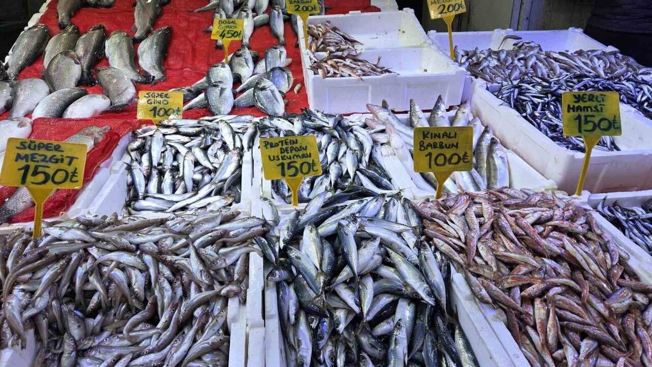 Samsun'da Hamsi 150 TL'ye Rağbetini Sürdürüyor