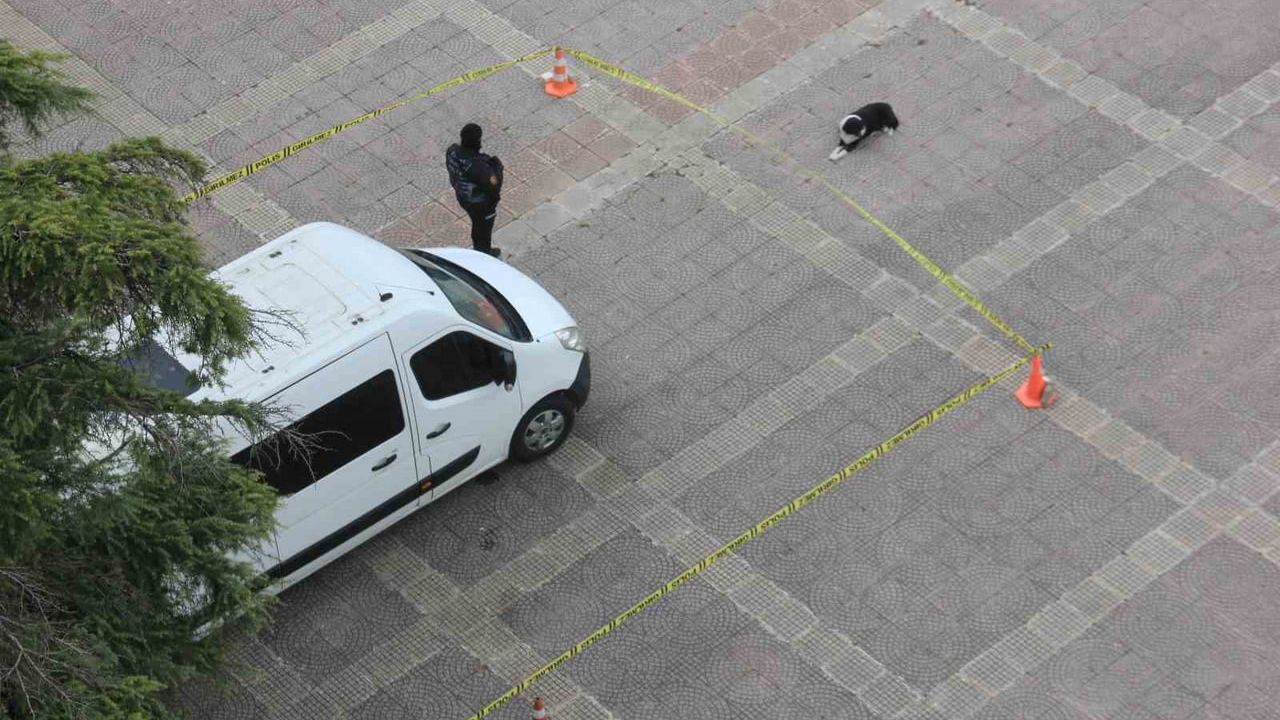 Samsun'da Köpekten Örnek Davranış: Polis Şeridini İhlal Etmedi