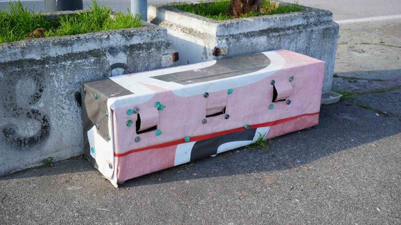 Samsun Sahilinde Kedi Yuvaları: Kayalıklarda Sıcak Sığınak