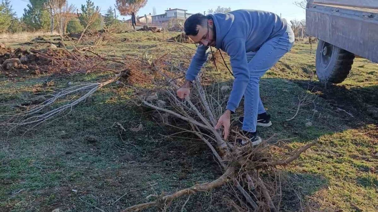 Sandıklı'da SANDER 100’e Yakın Badem Fidanı Dikti