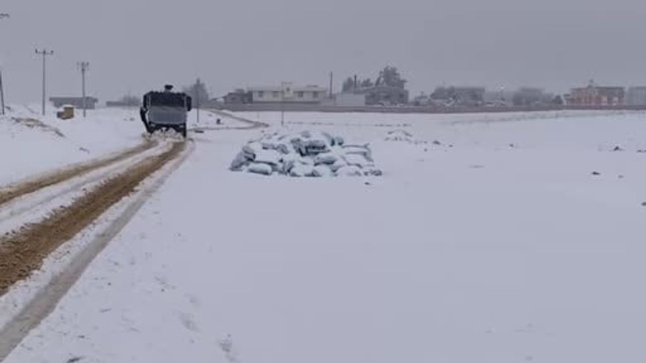 Şanlıurfa Ceylanpınar'da Kapanan Yolu TOMA Açtı