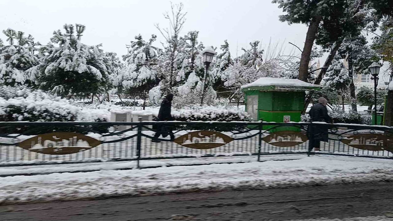 Şanlıurfa'da Kar Yağışı: Atatürk Mahallesi'nde Ağaç Devrildi