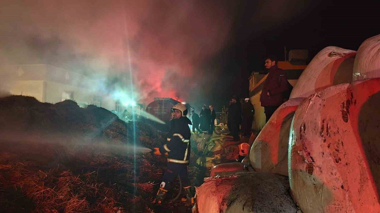Şanlıurfa'da samanlık yangını bitişikteki ağıla sıçramadan söndürüldü