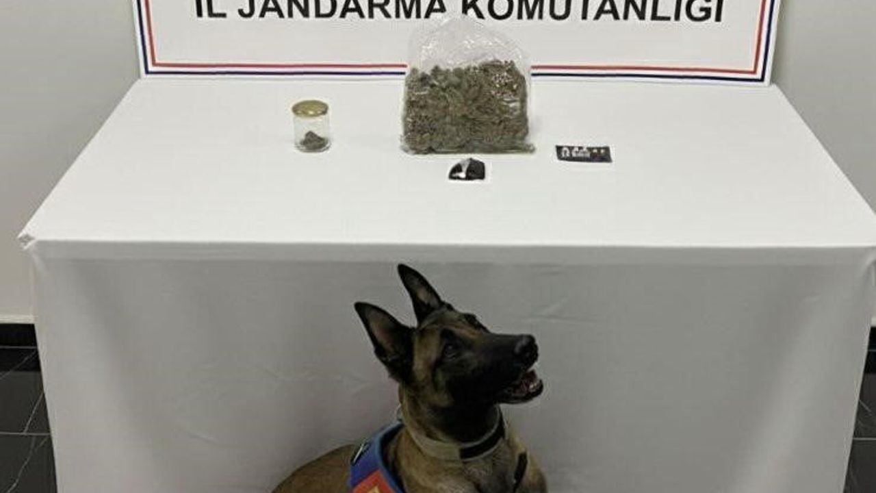 Şanlıurfa'da Uyuşturucu Operasyonu: 1 Gözaltı, Skunk ve Kokain Ele Geçirildi