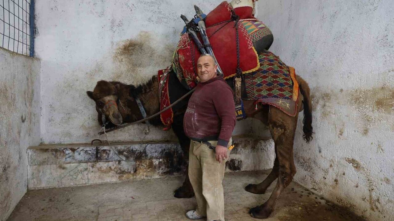 Şap Karantinası Deve Güreşlerini Vurdu: Akın Pazarlıoğlu'ndan Yasak Gözden Geçirilsin