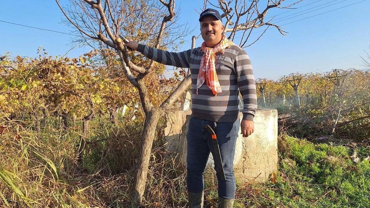 Sarıgöl’de Çiftçiler Kışın Bağ ve Meyve Ağaçlarını Buduyor