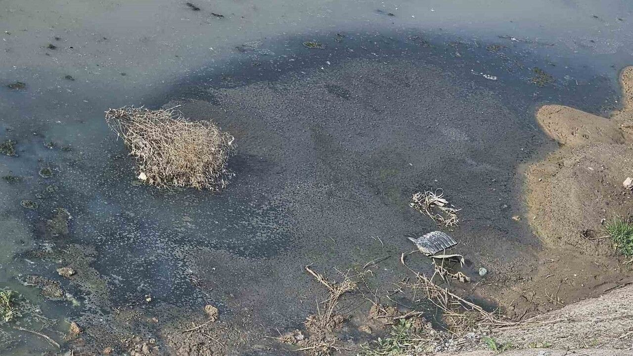 Saruhanlı'da DSİ Kanalına Atık Su Boşaltan İşletmeye Yasal İşlem