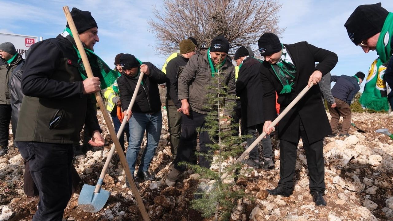 Şehit Ertuğrul Ulupınar Sedir Ormanı Kuruldu: 26 Bin Fidan Dikildi