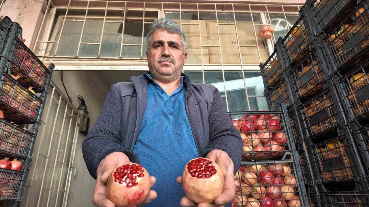 Siirt'te Zivzik Narı Verimi Kuraklıkla Yarı Yarıya Düştü