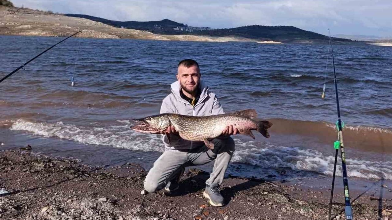 Sındırgı Çaygören Barajı'nda 8 kilo 750 gramlık dev sazan ve karaca sürprizi