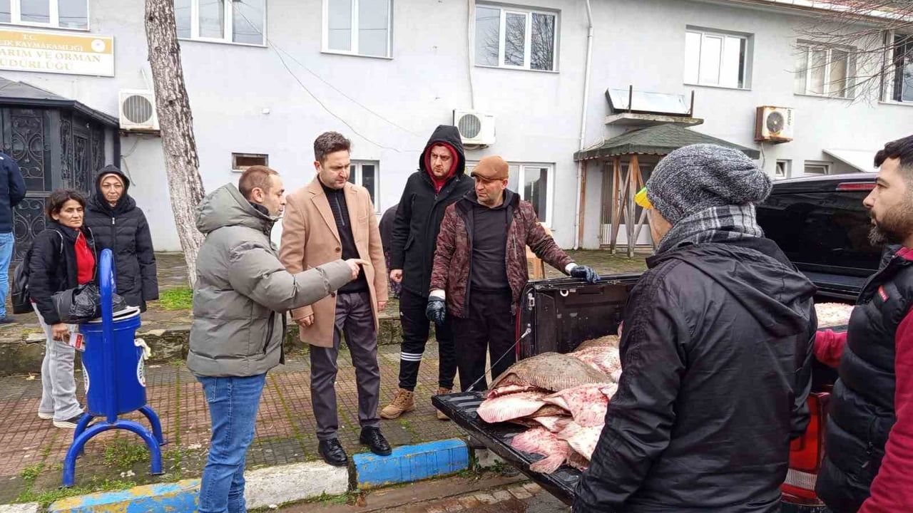 Sinop Ayancık’ta 625 Kalkan Balığı El Konuldu, İhtiyaç Sahiplerine Ücretsiz Dağıtıldı