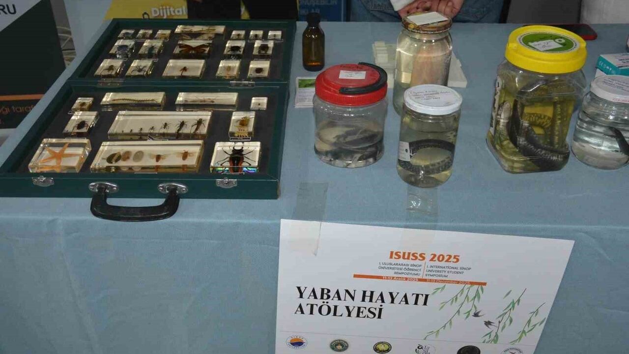 Sinop’ta ISUSS 2025: Öğrenci Sempozyumunda Bilim ve Sanat Atölyeleri