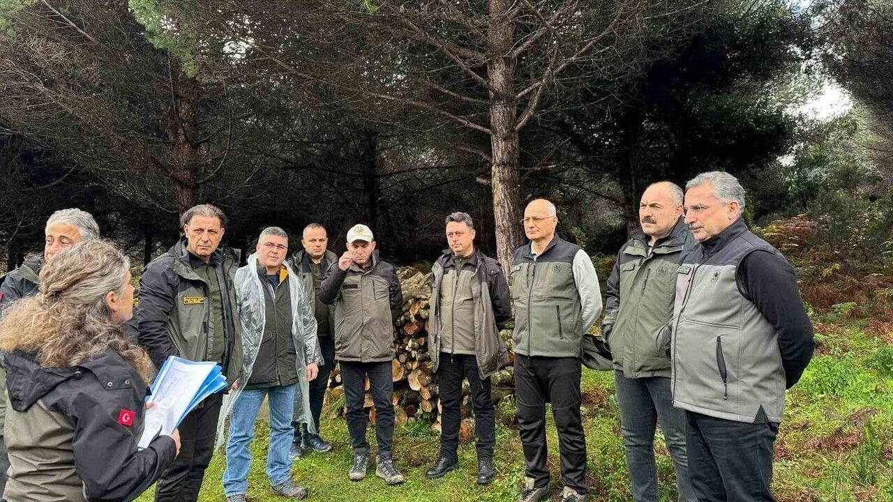Sinop'ta Ormancılık İncelemesi: GMY Muhammed Salih Çetiner Sahada