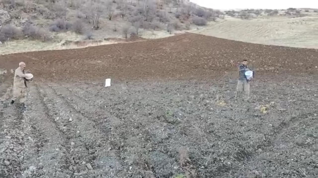 Şırnak'ta Arpa Ekiminde Yeni Yöntem: Kar Yağmadan Serpiliyor