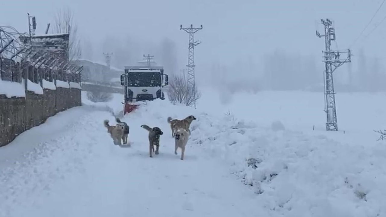 Şırnak’ta Kapanan Köy Yolları Dozerlerle Açılıyor