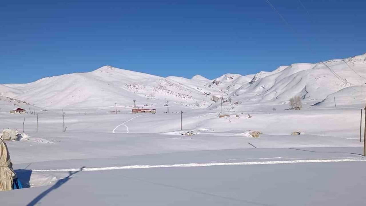 Şırnak'ta Yacan Ailesi: Koyunları İçin Eksi 15 Derecede 5 Ay Yaylada Kalıyor