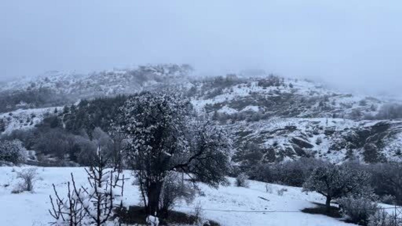 Sivas Koyulhisar'da Kar Yağışı Kartpostallık Görüntüler Oluşturdu