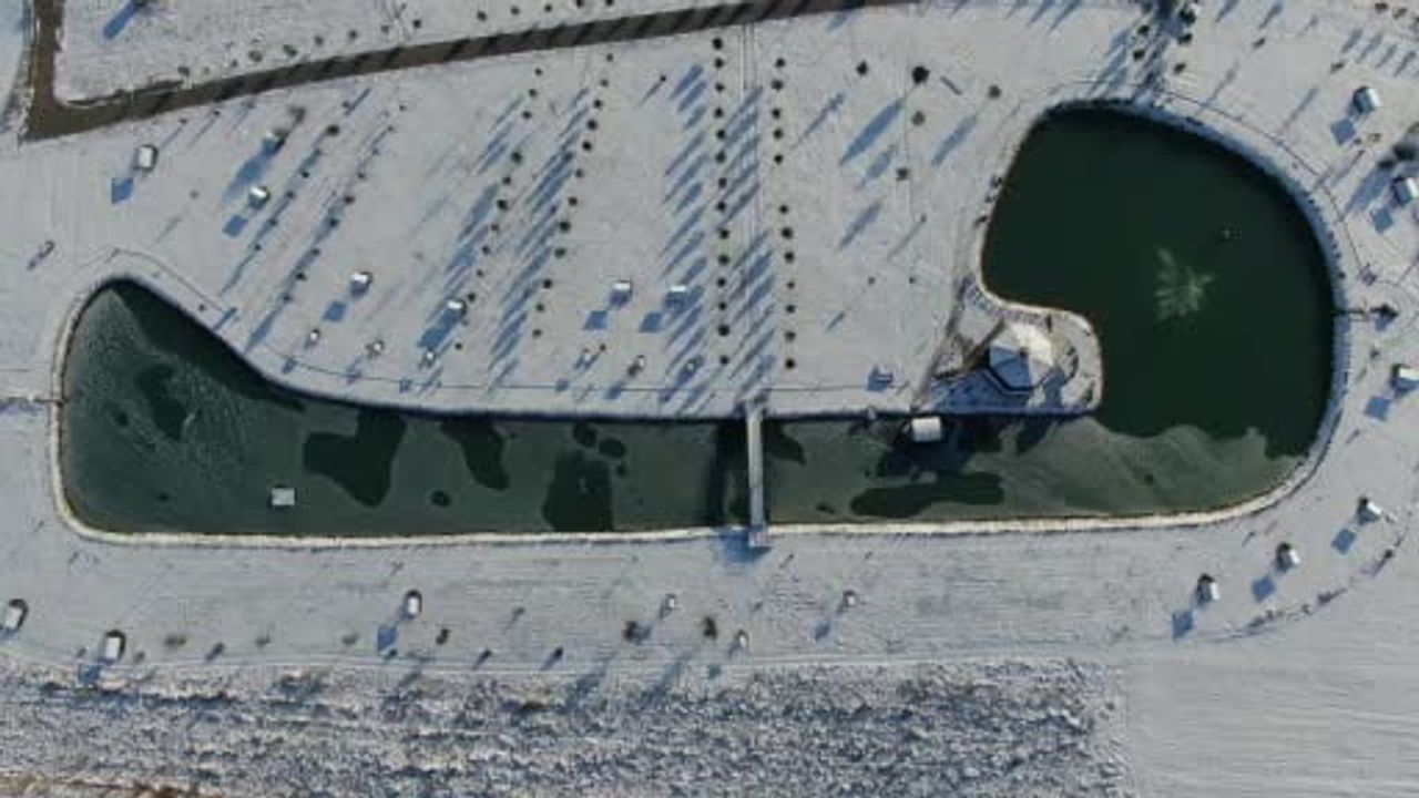 Sivas’ta Soğuk Hava: Üniversite Göleti Kısmen Dondu, Ördekler Donmayan Kısımda Yüzüyor