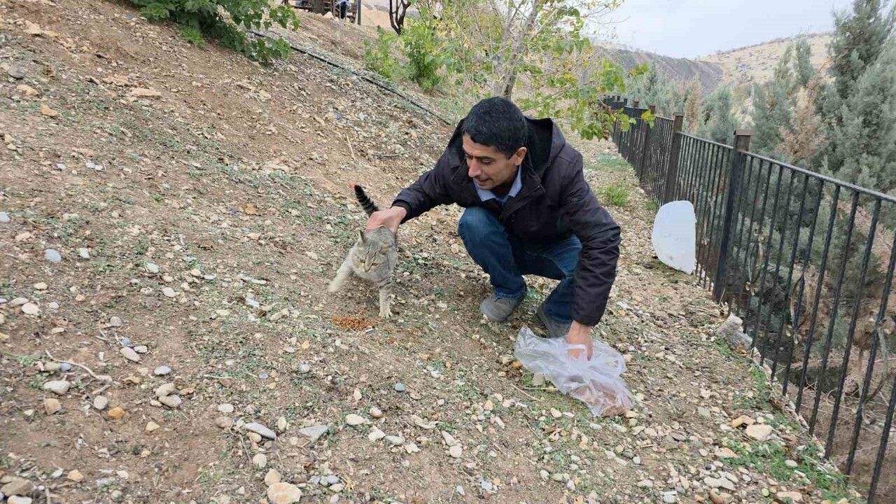 Siverek’te İyilik Sensin Derneği’nden Sokak Kedilerine Mama Desteği