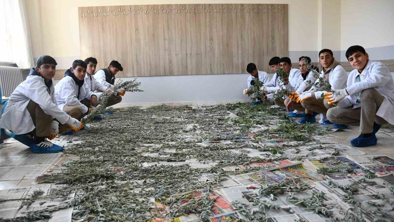 Siverek'te 'Tohumdan Sofraya' Tarım Eğitimi — Lavanta, Biberiye, Adaçayı