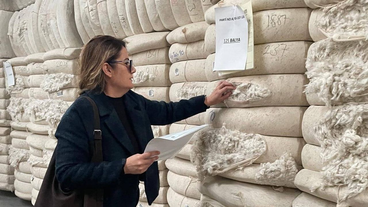 Söke'de Ham Pamuk İhracatına Sıkı Denetim