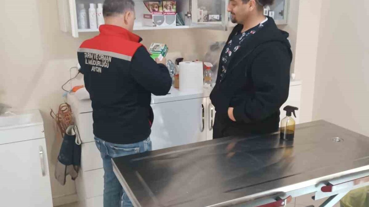 Söke'de Özel Veteriner Klinikleri Denetlendi: Ruhsat ve Hijyen Kontrolleri