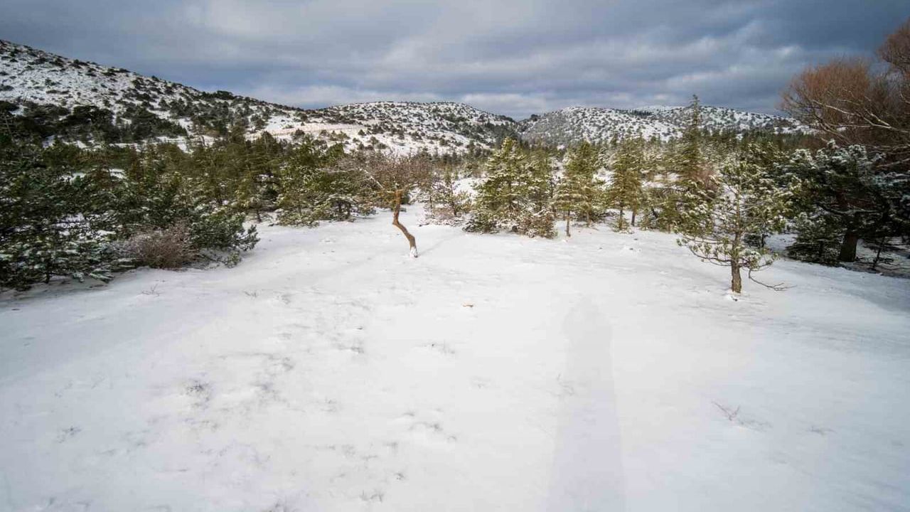Spil Dağı'na İlk Kar: Milli Park Beyaz Gelinliğini Giydi