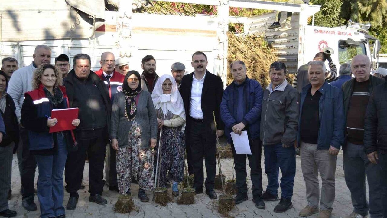 Sultanhisar'da 9 bin 500 Fidan Dağıtımı: Kestane ve İncir Fidesi Üreticilere Teslim Edildi