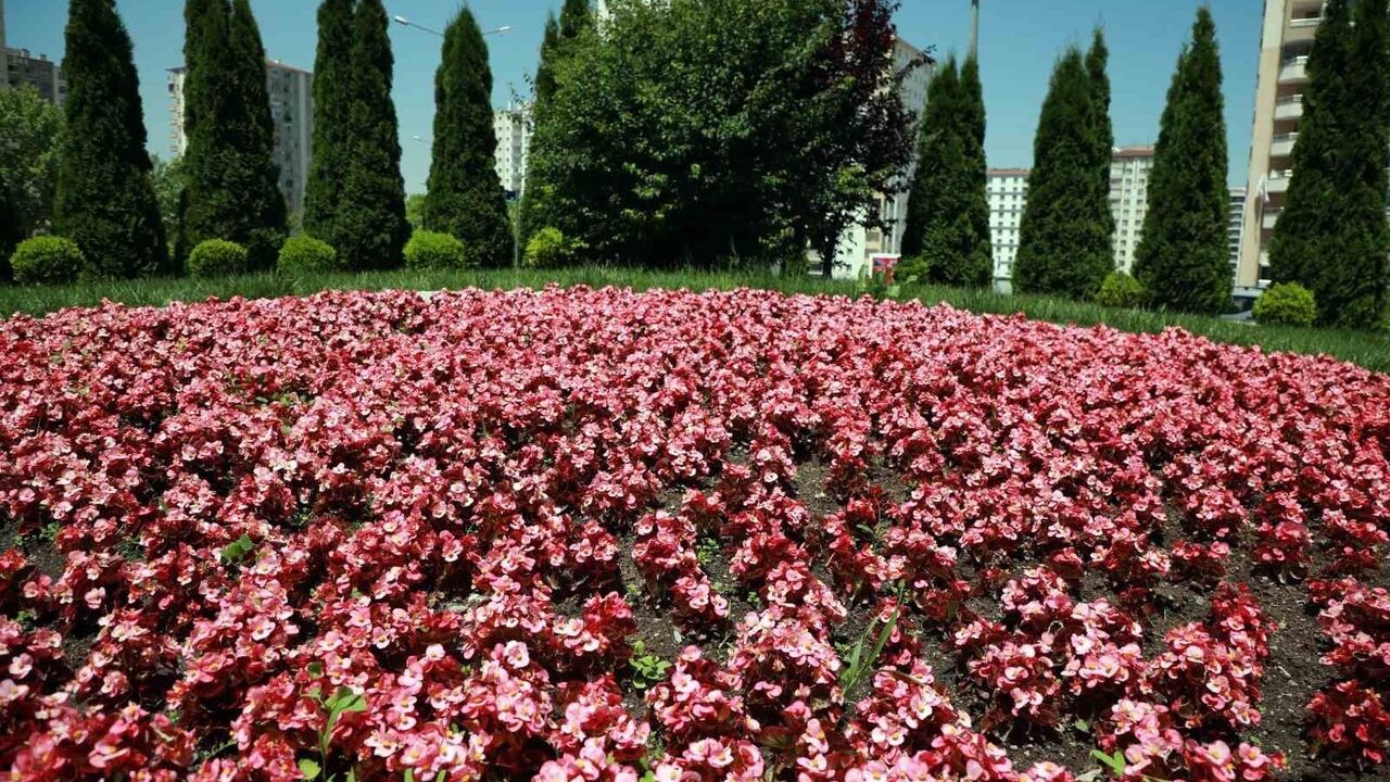 Talas 2026: 'Talas Çiçek Yılı' ile Mayıs'ta Renk Şöleni