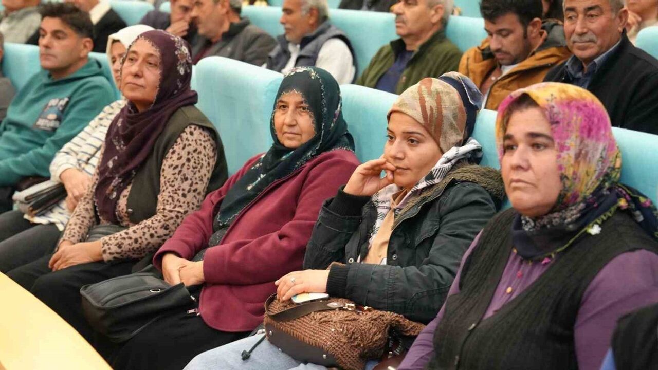 Tarsus'ta Sarıulak Zeytini Üreticilerine Eğitim