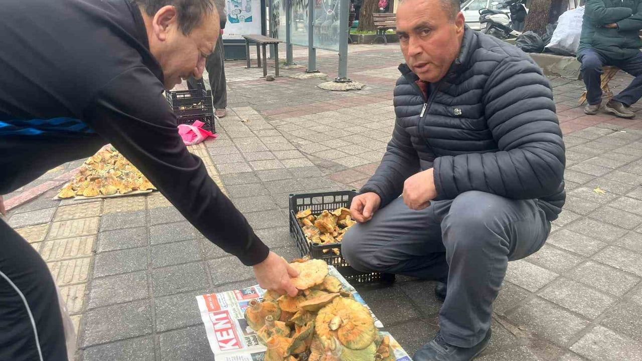 Tavşanlı’da Melki (Kanlıca) Mantarı Aralık Sonunda da Tezgahlarda