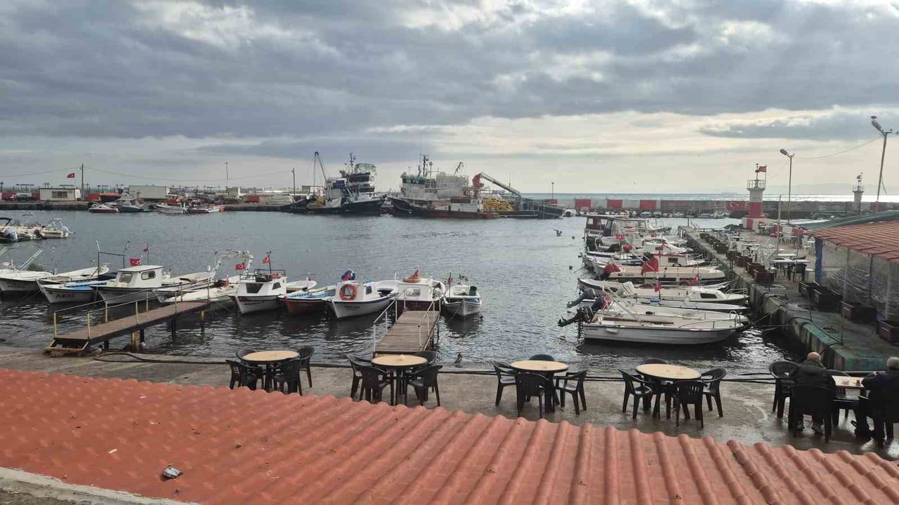 Tekirdağ'da Lodos Kıyıyı Vurdu: Kızıl Yosun Sahili Kapladı