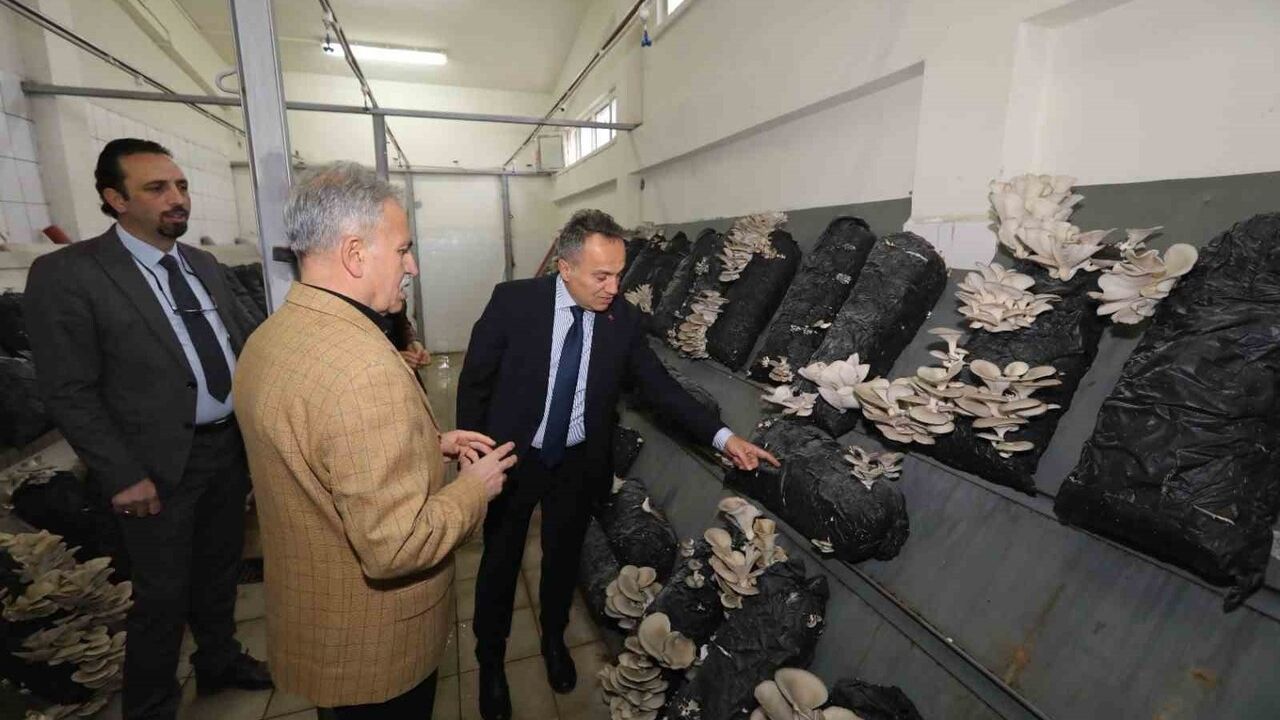 TOGÜ'de Üretime Dayalı Eğitim Güçleniyor: Rektör Yılmaz Mantar Tesisini İnceledi