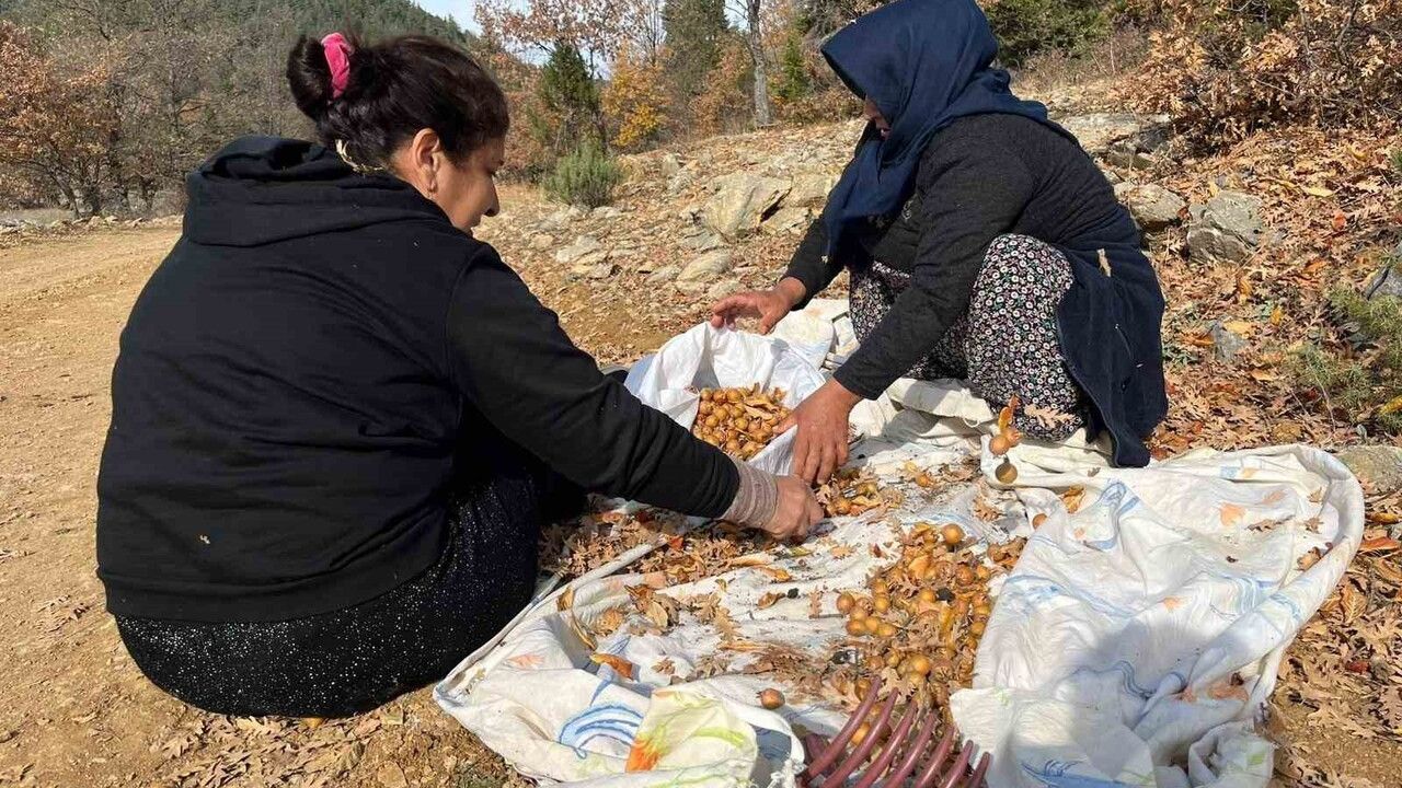Toros Dağları'nda Gizemli Hayırseverin Aşısı: Beşbıyık Meyveler Akseki'ye Gelir Sağlıyor