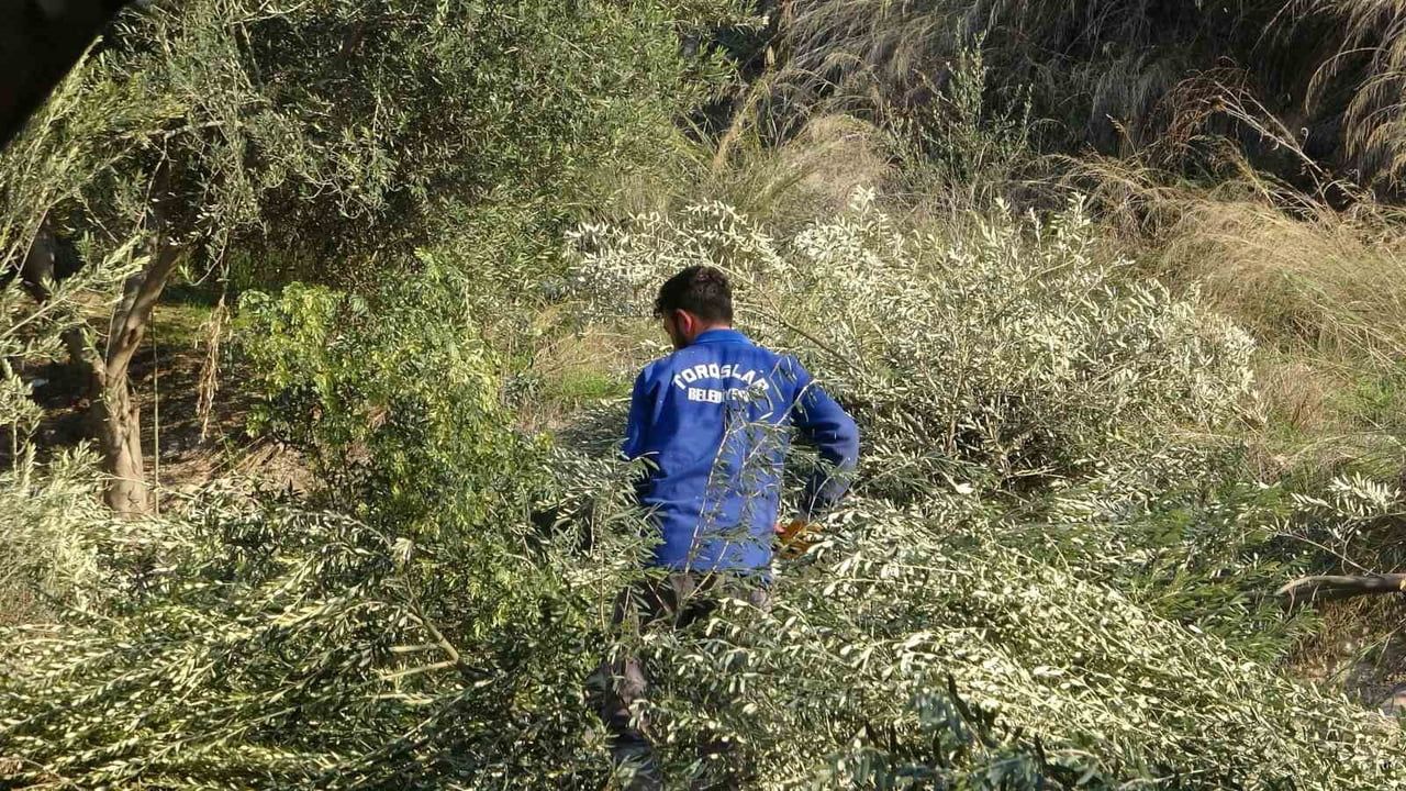 Toroslar Belediyesi Çağdaşkent'te Zeytin Ağaçlarını Kesince Mahalle Ayağa Kalktı