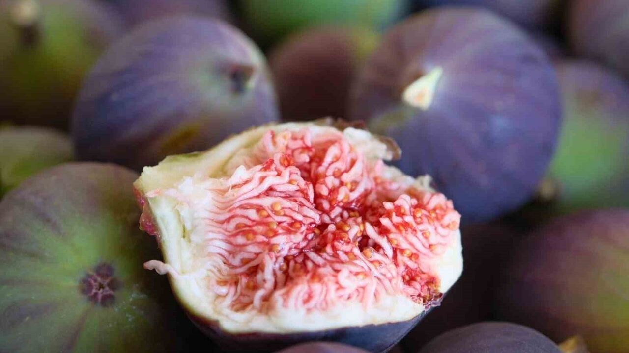 TPE: İlk 'Coğrafi İşaret Günü' 15 Aralık'ta İlk ve Orta Okullarda