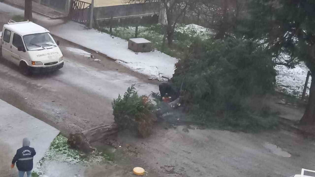 Türkeli'de Fırtına Ağaç Devirdi, Gazi Mustafa Kemal Atatürk Caddesi Kapatıldı