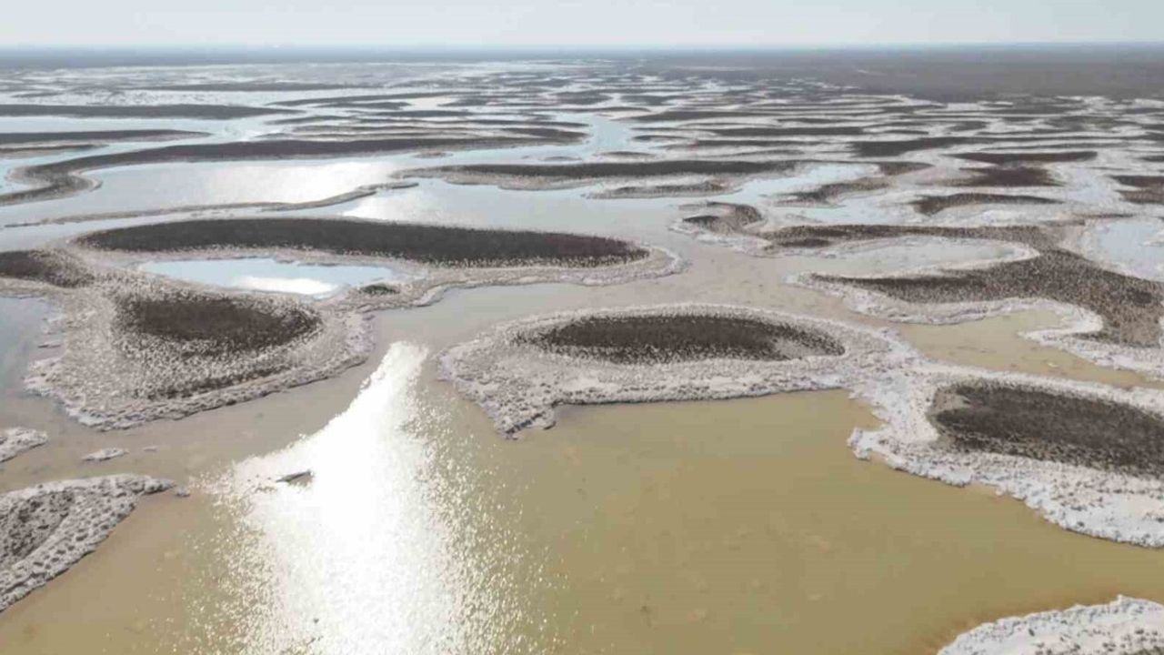 Tuz Gölü'nde Kuraklık Alarmı: Flamingolar Gelmiyor