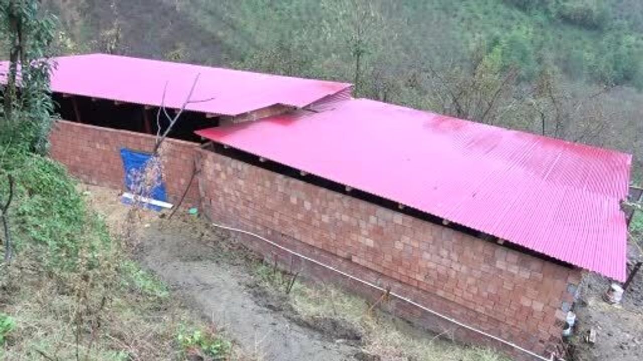 Uğur Gedik: "Almanya’da robot olacağıma köyümde çoban olurum"