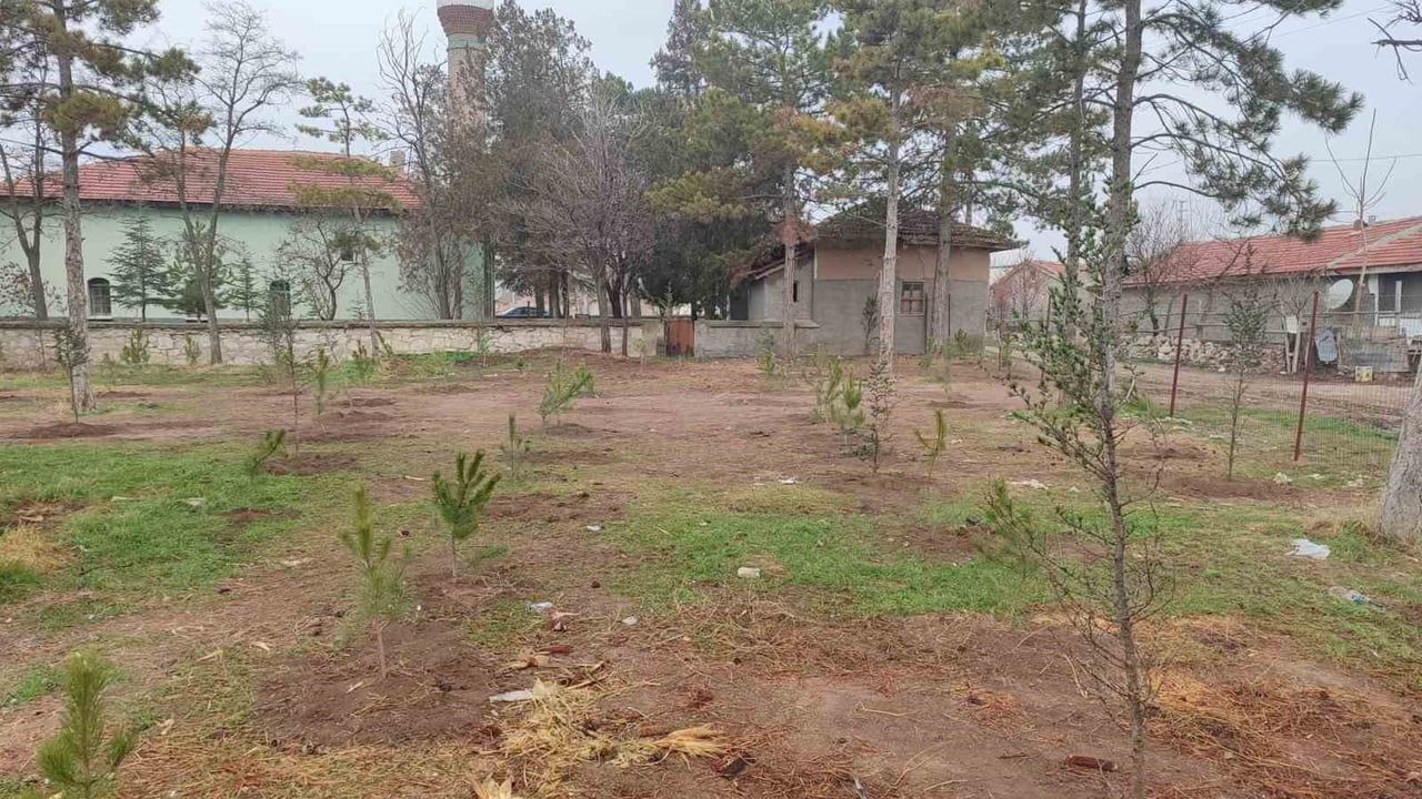 Umraniye Köyü'nde İmece: 300 Fidan Okul ve Camii Bahçelerine Dikildi