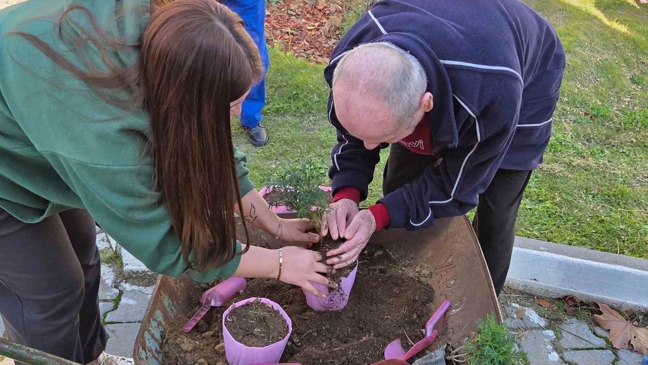 Üniversiteli Gençler Sultanhisar'da Yaşlı Çınarları Unutmadı