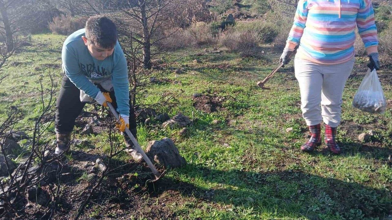 Urla’da Yangın Bölgesine Umut: 500 Meşe Palamudu Toprakla Buluştu