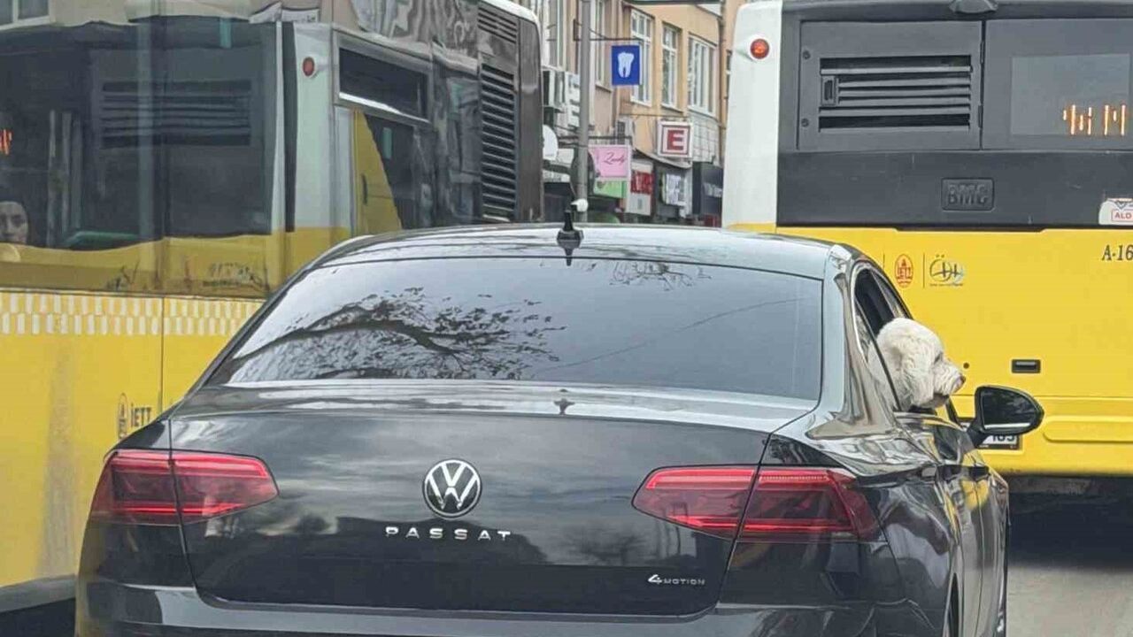 Üsküdar'da Hilmi Türkmen: Makam Aracımız Yeni Başkanın Köpeğine Tahsis Edildi İddiası