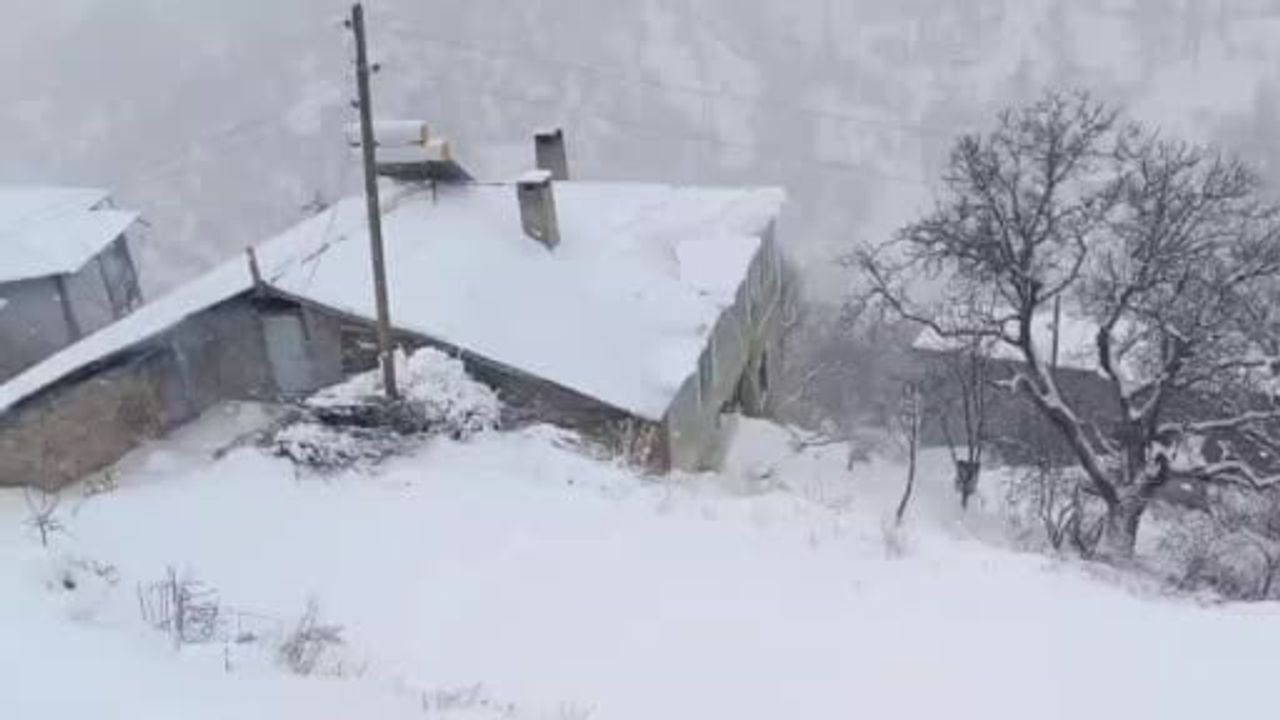 Van’da Kar Ulaşımı Aksattı: Bahçesaray Yolu Ulaşıma Kapatıldı