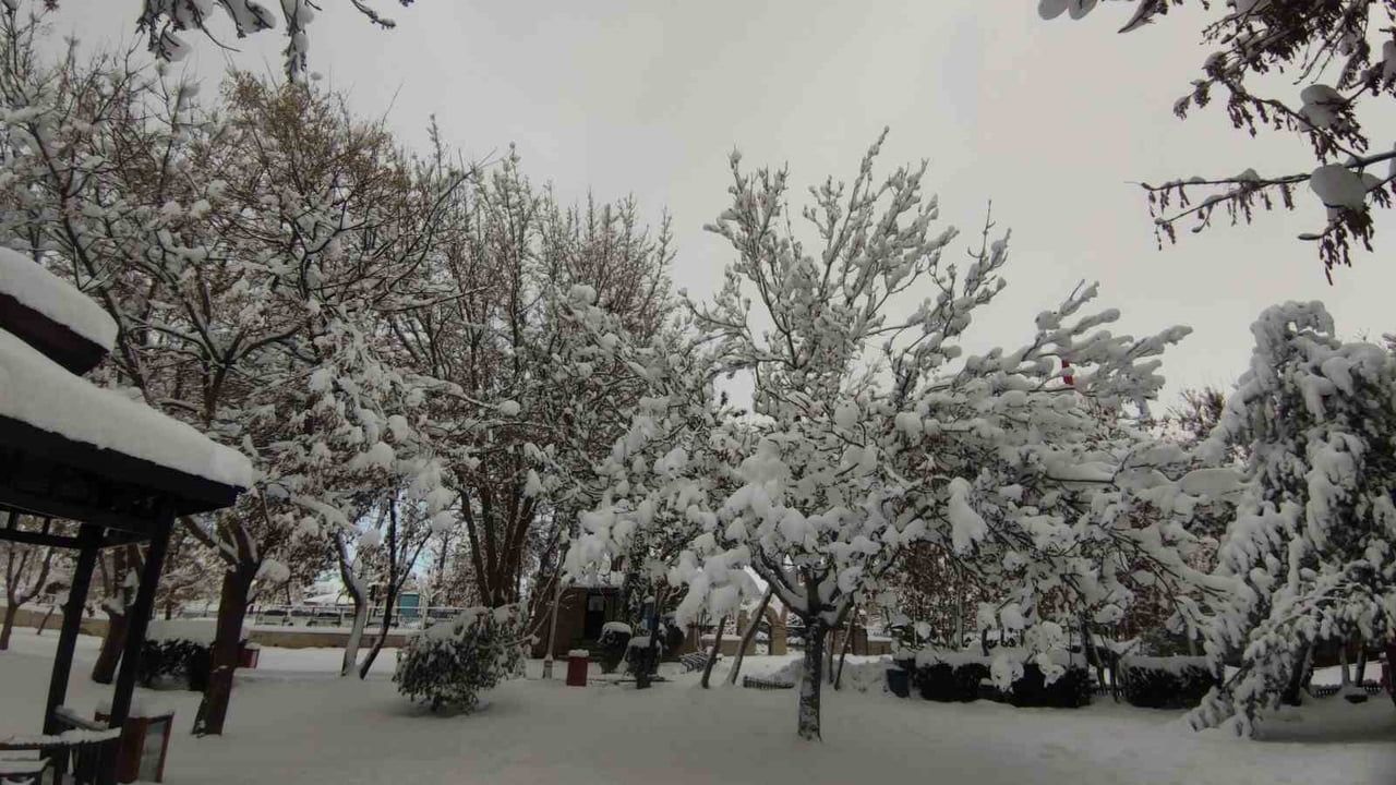 Van'da Karın Büyüsü: Ağaçlar Kartpostallık Manzaralar Oluşturdu