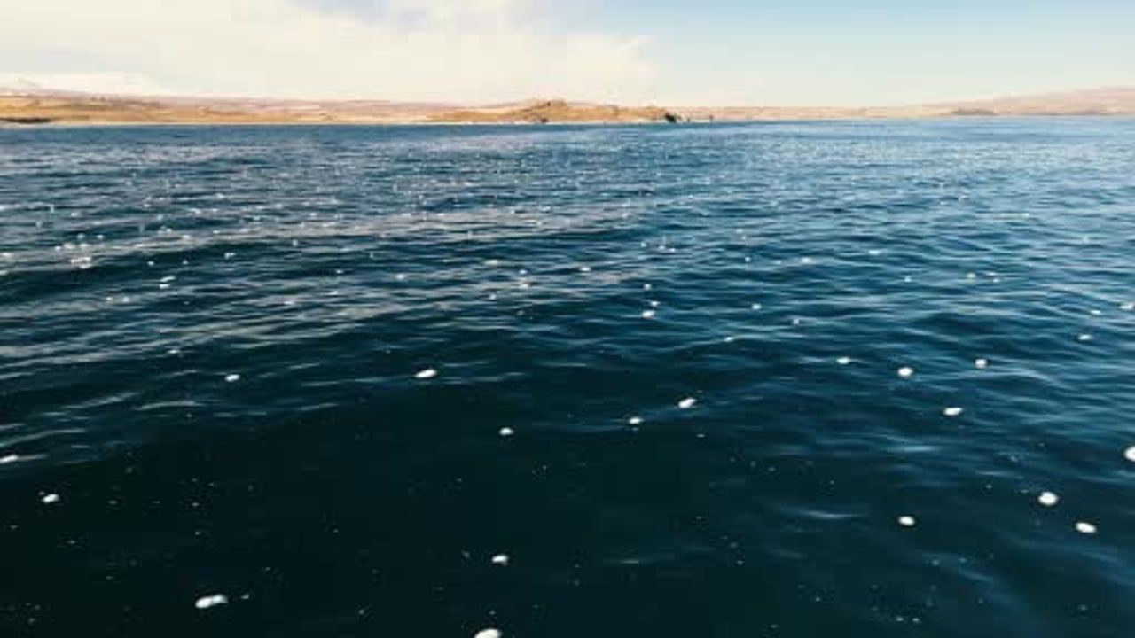 Van Gölü'nde Kilometrelerce Köpüklenme: Tatvan'da İlginç Görüntüler