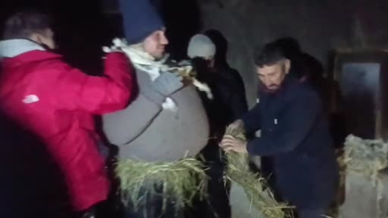 Van Saray'da Kekikdüzü'nde Köse-Gelin Geleneği Yaşatılıyor