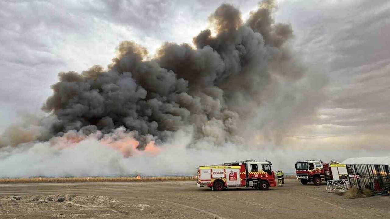 Yeni Güney Galler'de Orman Yangınları: İtfaiye Görevlisi Öldü